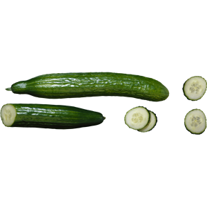 Cucumber PNG-12609